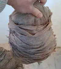Salted Omasum