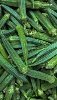 Fresh Okra