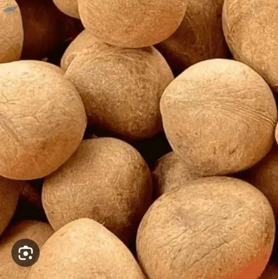 Dried Coconut