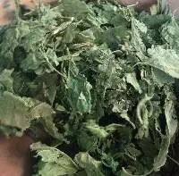 Mulberry Leaves