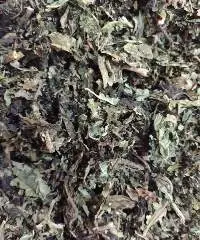 Papaya Leaves