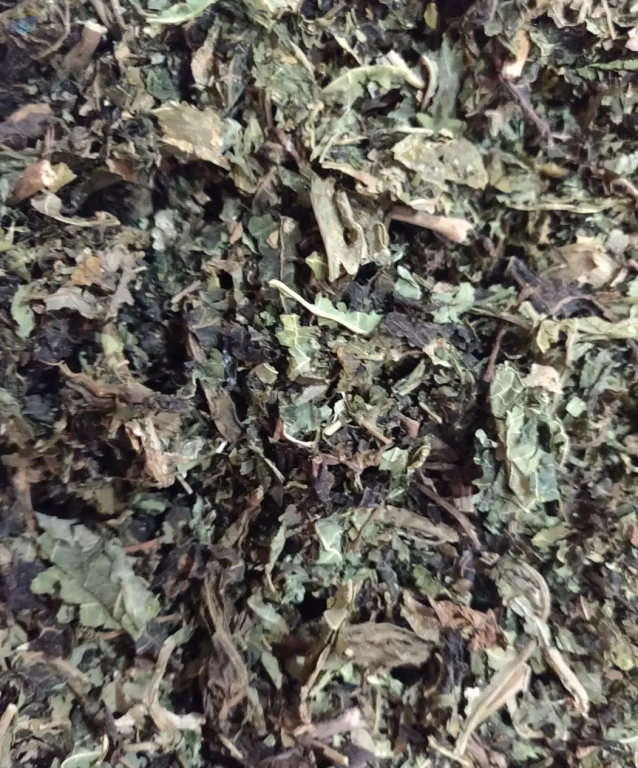 Papaya Leaves