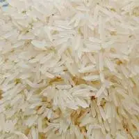 Premium Quality 1401 Basmati Rice