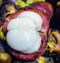 Fresh Mangosteen