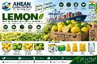 Indian Lemon