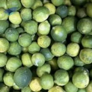 Premium Export Grade Fresh Indian Lemon