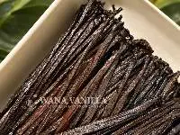 Indonesian Gourmet Vanilla Planifolia Beans