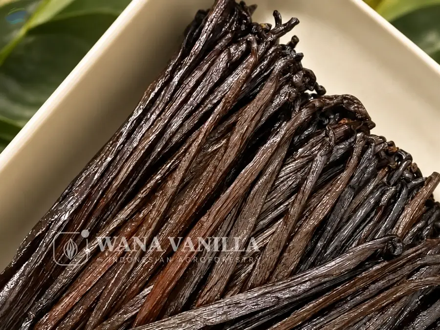 Indonesian Gourmet Vanilla Planifolia Beans