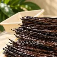 Indonesian Gourmet Vanilla Tahitensis Beans