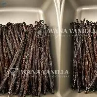 Indonesian Extraction Grade Vanilla Beans