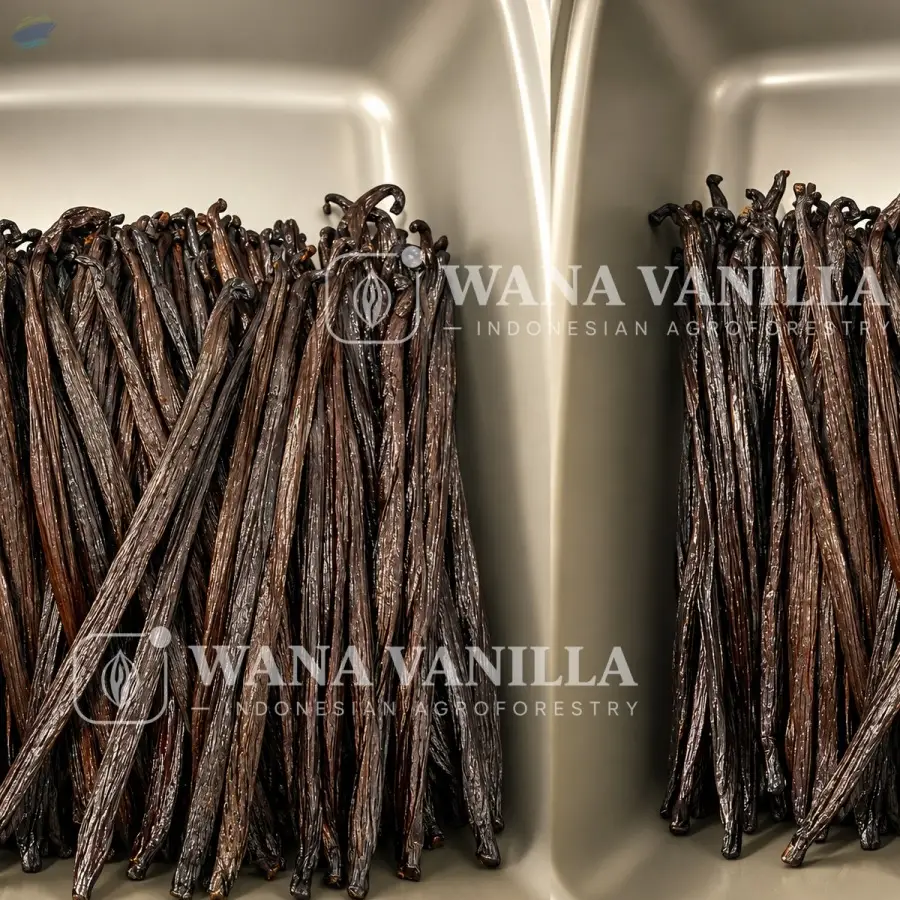 Indonesian Extraction Grade Vanilla Beans