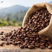 Araku Roasted Arabica Coffee Beans India