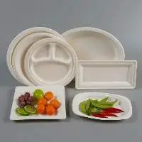 Sugarcane Bagasse Plates - 6 to 12 Inch