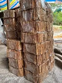 Cinnamon Burmannii
