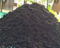 Vermicompost