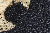 Black Beans Mexican