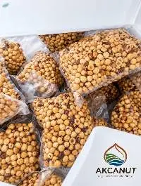Turkish Raw Natural Shelled Hazelnut Kernels