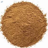 Green Tea Extract Powder