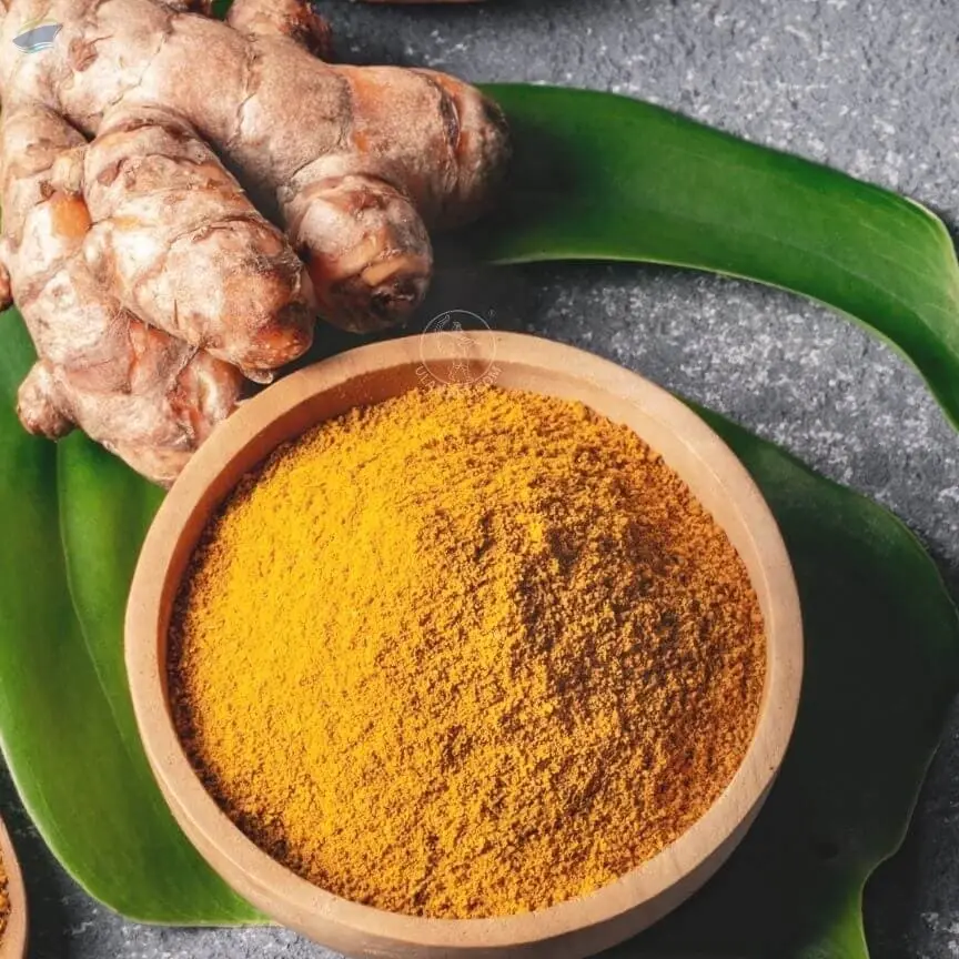 Erode Turmeric Powder & Food Export
