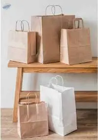 Kraft Paper Carry Bags (Brown & White)