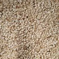 Natural Hulled White Sesame Seeds from Africa