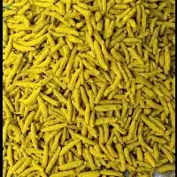 Double Polished Turmeric Finger