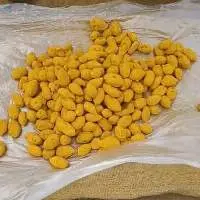 Double Polished Turmeric Bulb