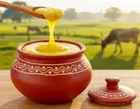 Pure Ghee for Food Processing and Wholesale