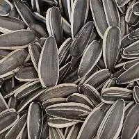 Sunflower Seeds
