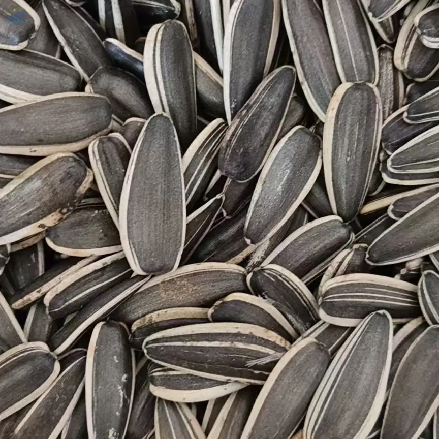 Sunflower Seeds