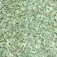 Dried Egyptian Fennel Seeds 99% Pure