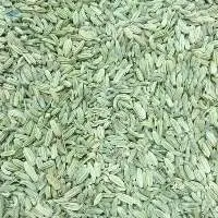 Dried Egyptian Fennel Seeds 99% Pure