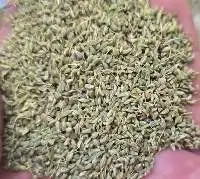 Premium Egyptian Anise Seeds (Whole)