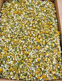 Egyptian Chamomile Flowers (Whole)