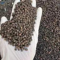 Premium Black Pepper Whole & Powder
