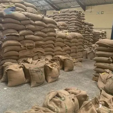 Coffee Beans(Arabica)