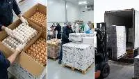 Premium Fresh Chicken Table Eggs (Class A)