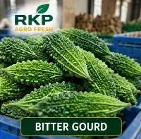 Fresh Bitter Gourd
