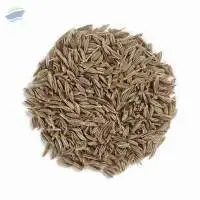 Premium Desert-Grown Cumin Seeds