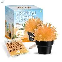 Crystal Cactus Growing Kit