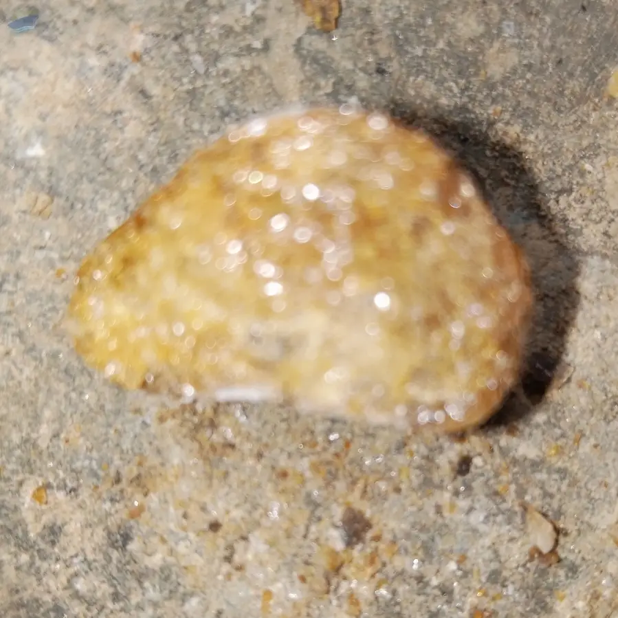 Mica Golden Crystal