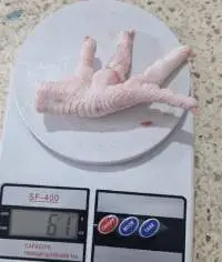 Frozen Chicken Paws