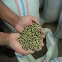 Gayo Commercial Mixed Arabica Varieties