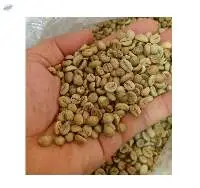 Fine Robusta Gayo Green Coffee Beans