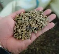 Premium Gayo Arabica G1 Mixed Variety