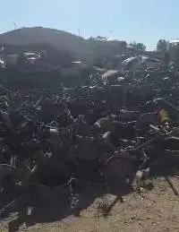 Iron Scrap