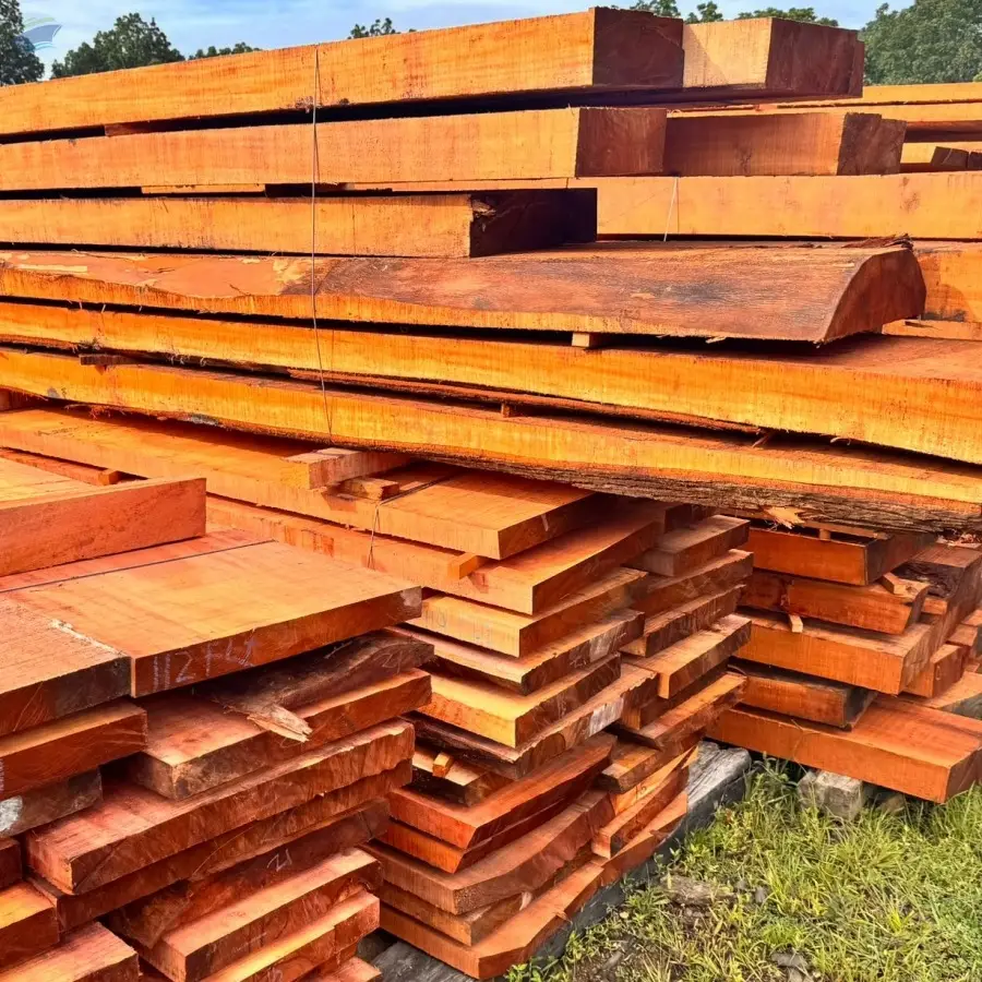 Mahogany