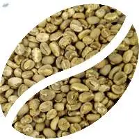Indonesian Green Robusta Coffee Beans