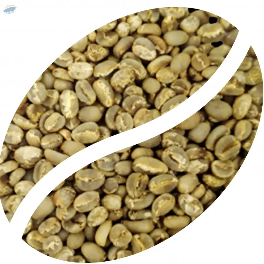 Indonesian Green Robusta Coffee Beans