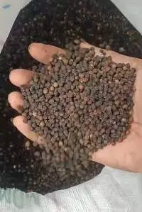 Black Pepper